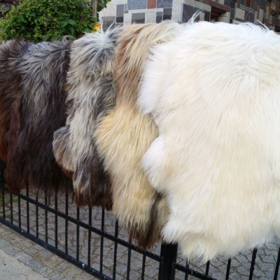 Peaux de mouton et peau d'agneau vernis décoratif naturel